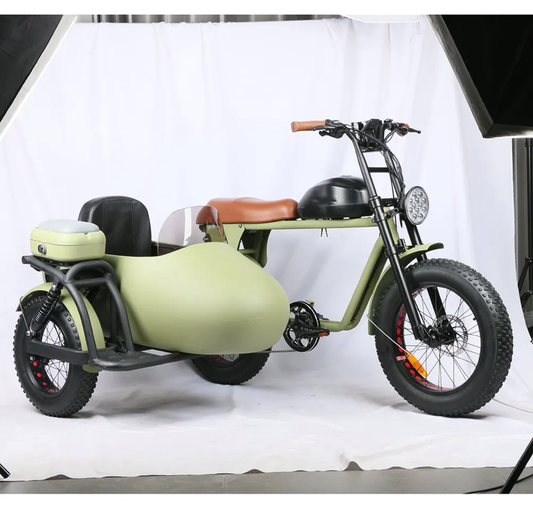Sidekick Electric Bike With Sidecar